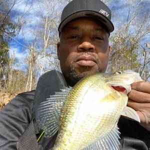 Meet your Posher, Ken